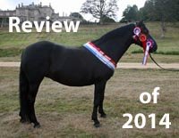 Review of 2014
